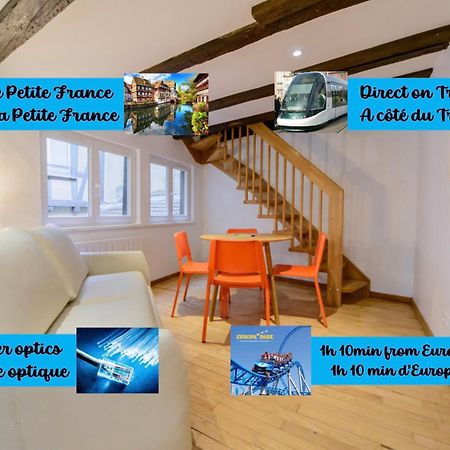 Cosy & Quiet Flat In Historical Lively Center Of Strasbourg Lägenhet Exteriör bild