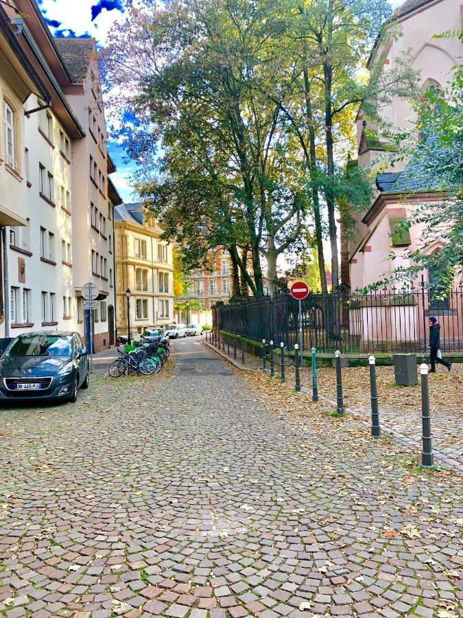 Cosy & Quiet Flat In Historical Lively Center Of Strasbourg Lägenhet Exteriör bild
