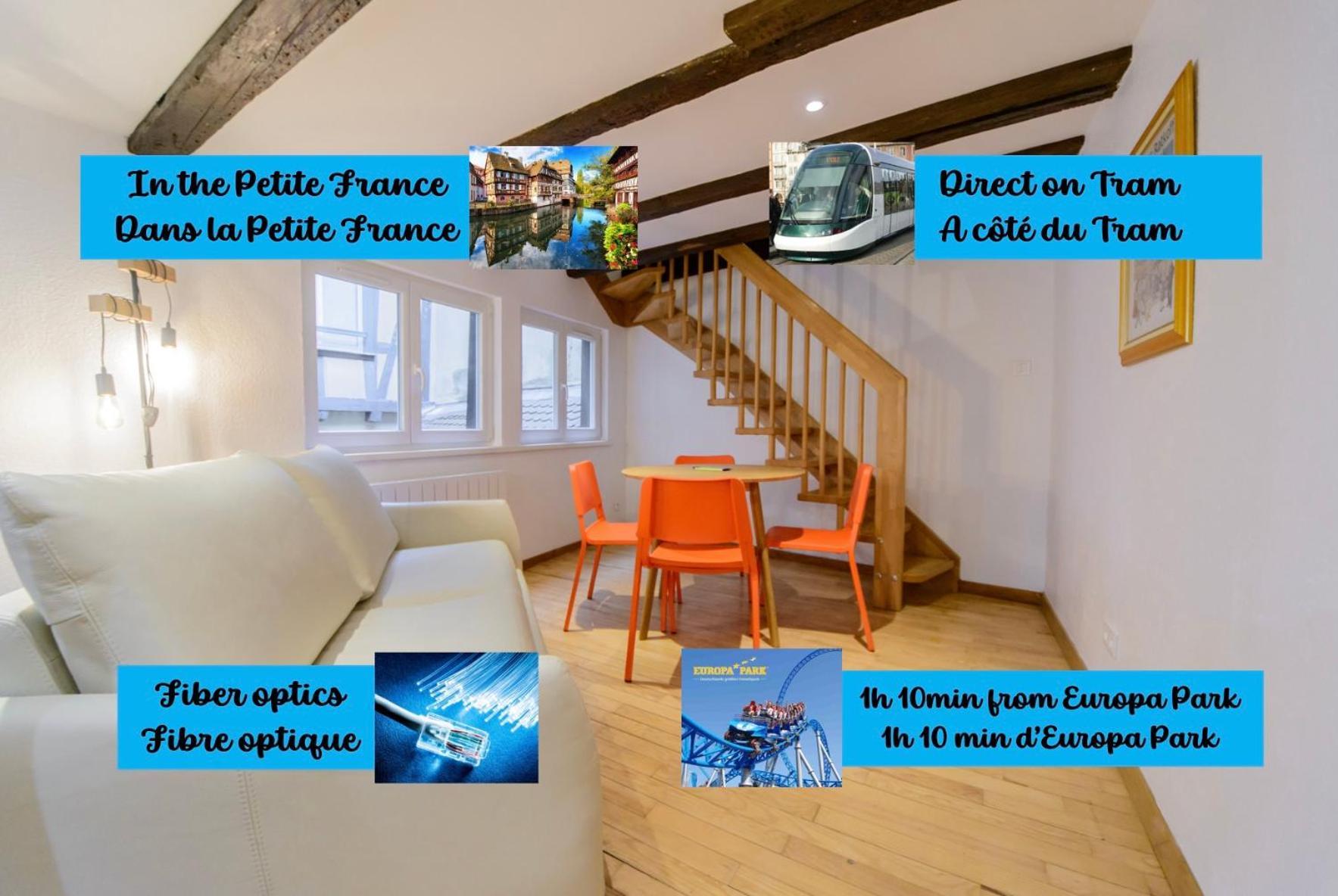 Cosy & Quiet Flat In Historical Lively Center Of Strasbourg Lägenhet Exteriör bild
